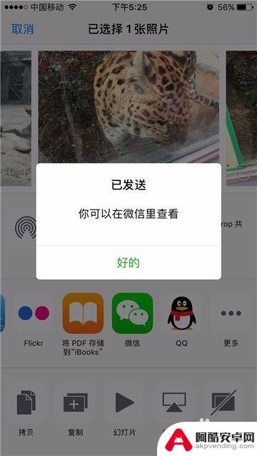 苹果手机图片如何转发微信