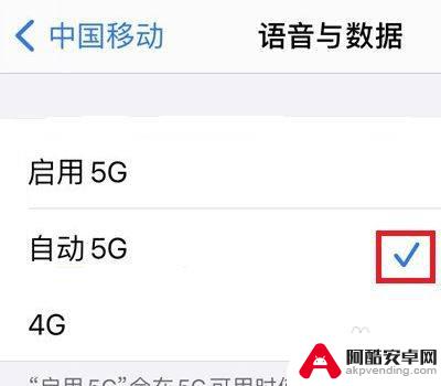 苹果手机怎么修改4g变5g