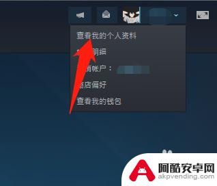 steam不让别人看到自己的游戏