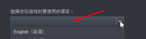 steam铁拳7界面怎么设置中文