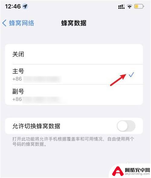 苹果双卡手机怎么指定一张卡流量