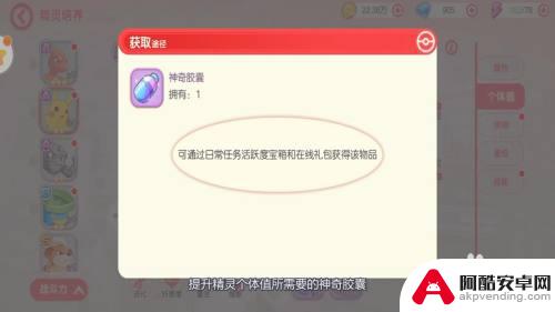 口袋进化如何提升个体值