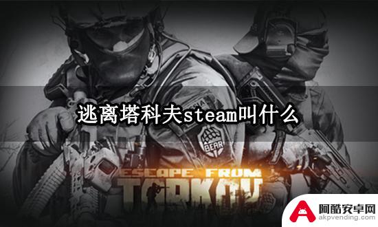 逃离塔科夫steam怎么购买