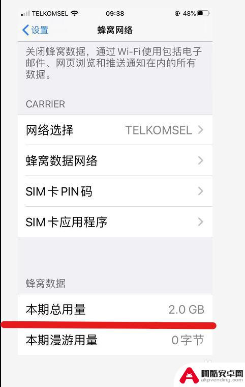 苹果手机怎么查总流量