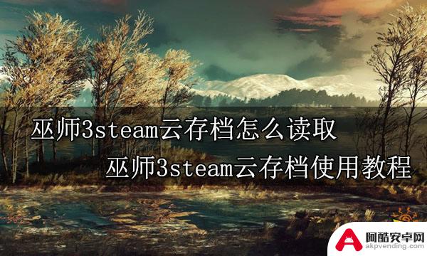 巫师3steam云存档怎么解决