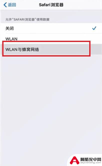 苹果手机浏览器怎么打开网络连接