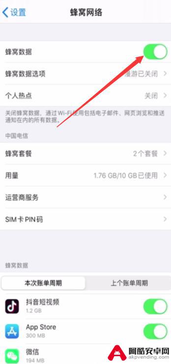 苹果手机显示4g但无法上网