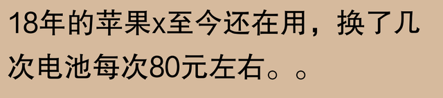 网友表示：苹果手机能使用五六年，难道是不现实的夸大吗？实践证明：只要有恒心，没有做不到的事情