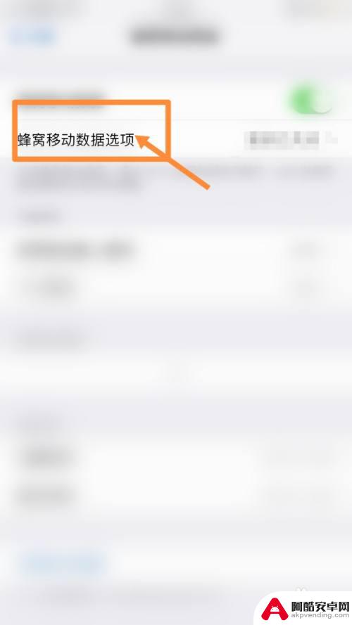 iphone如何查看手机网速