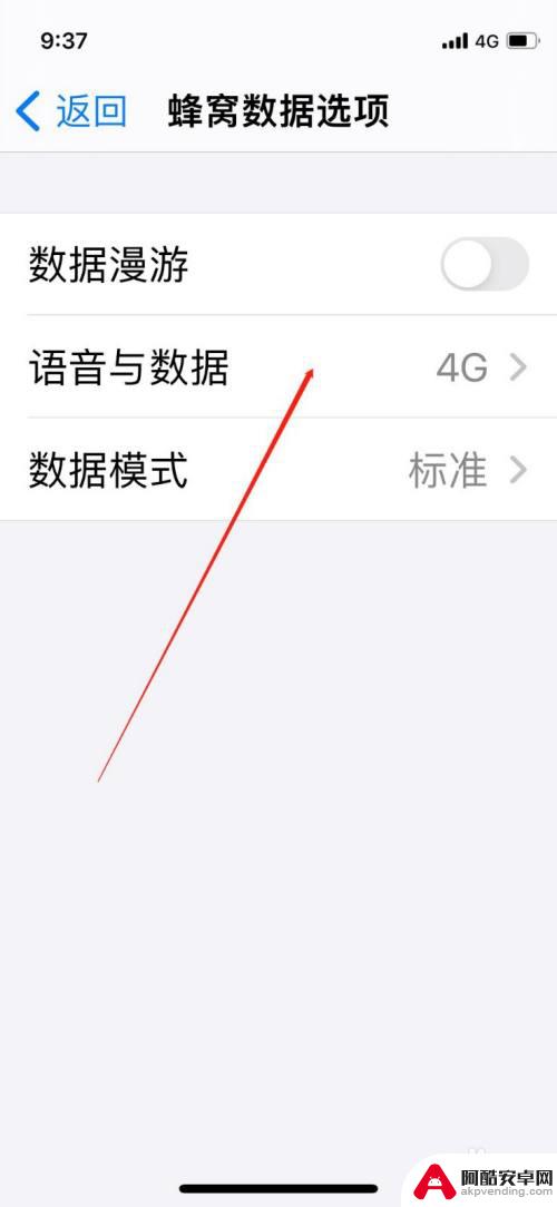 苹果手机如何显示5g网络