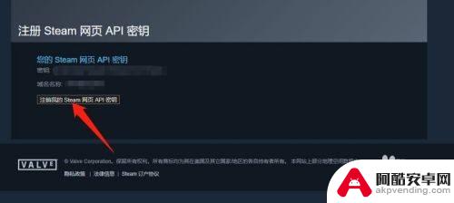 api密钥steam域名名称怎么填