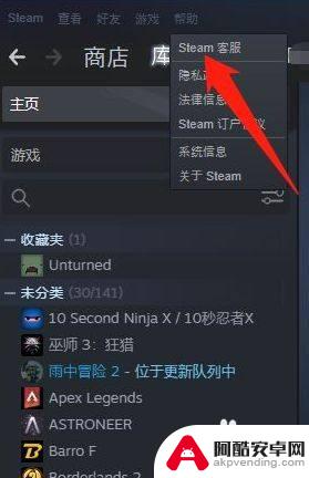 api密钥steam域名名称怎么填